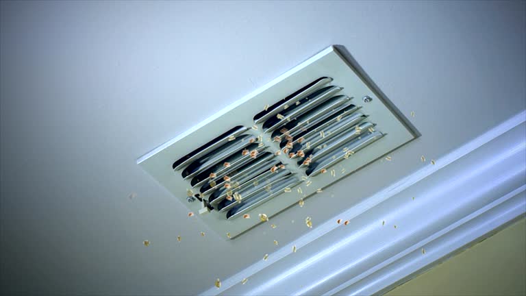 Best Ductwork Cleaning Services  in Plum Grove, TX