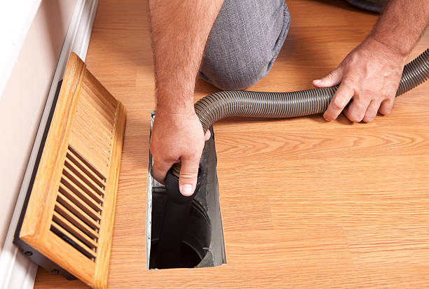 Best Local Air Duct Cleaning Services  in Plum Grove, TX