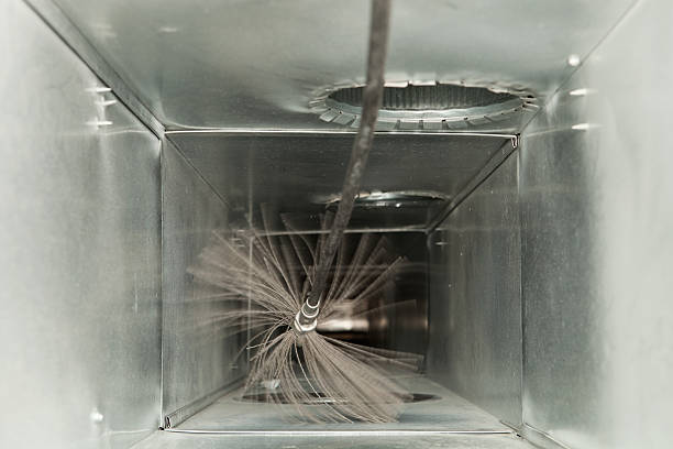 Best Air Duct Sanitizing Services  in Plum Grove, TX
