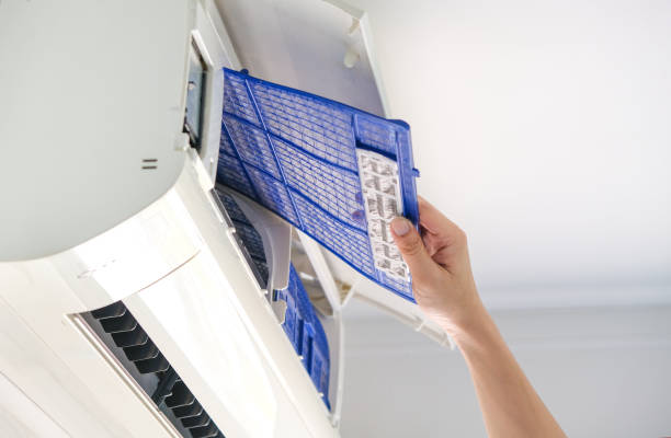 Best Air Duct Cleaning Near Me  in Plum Grove, TX