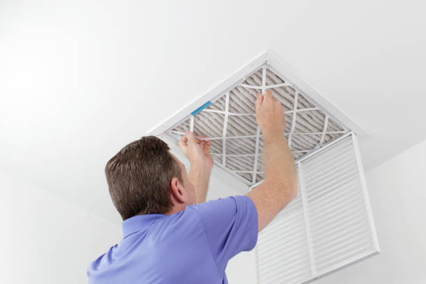Best Affordable HVAC Duct Cleaning  in Plum Grove, TX